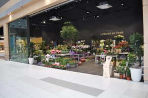 agencement de boutiques de fleurs