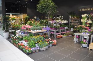 agencement de boutiques de fleurs
