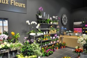 agencement de boutiques de fleurs
