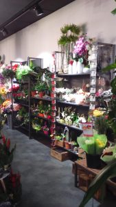 agencement de boutiques de fleurs